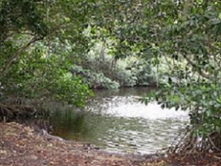 Small Opening on a Pond